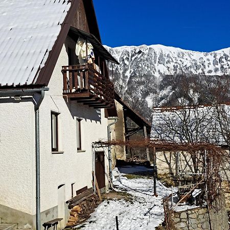 Apartamento Hikers Hut Hisar Podbrdo Exterior foto
